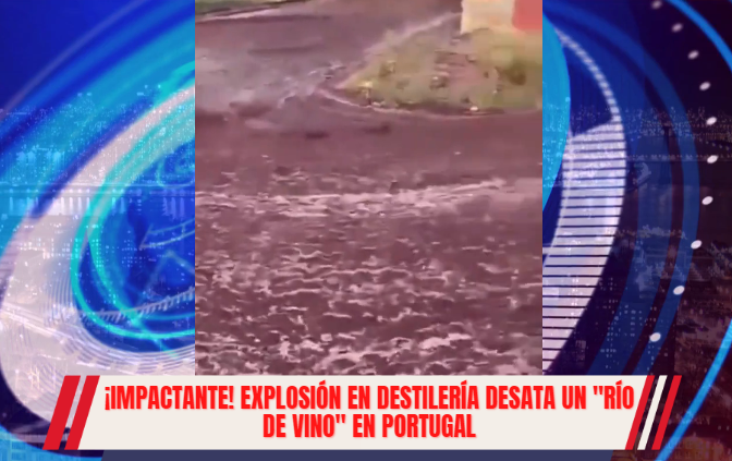 Read more about the article ¡IMPACTANTE! Explosión en destilería desata un “río de vino” en Portugal